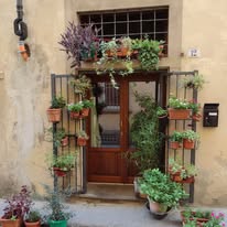 493508256 10229842746027760 7881595609570963277 N